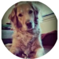 Remi B Avatar